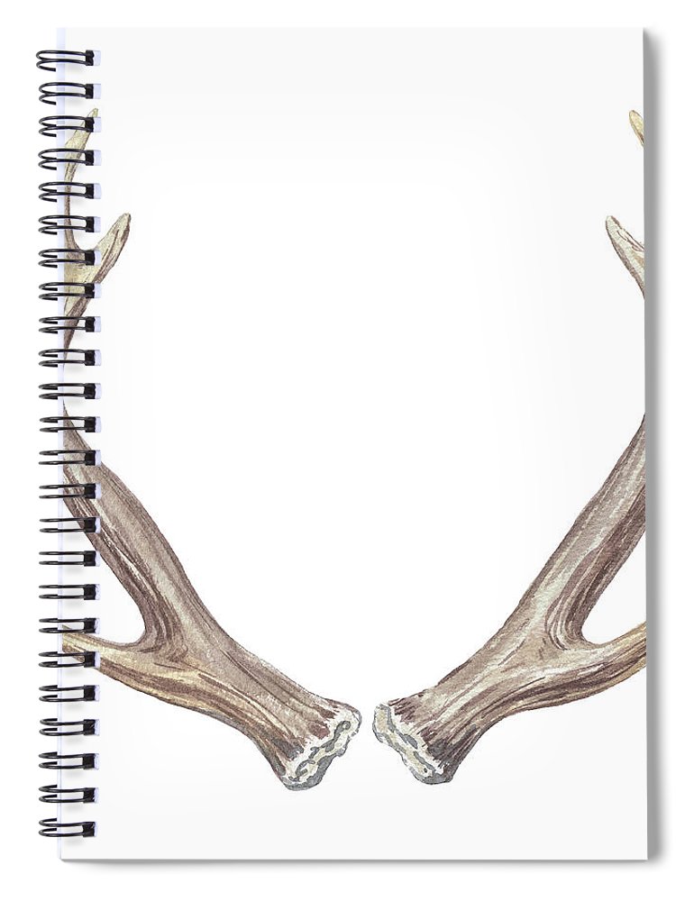 770x1000 Watercolor Antlers Spiral Notebook For Sale By Irina Sztukowski - Watercolor Antlers