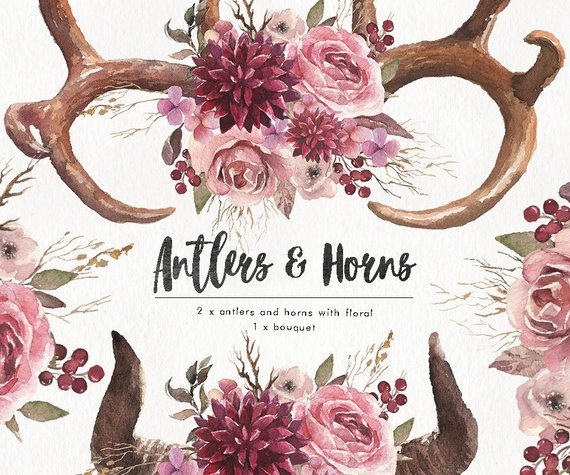 570x475 Watercolor Antlers Amp Horns With Flower Bouquet. Wedding Clip Etsy - Watercolor Antlers