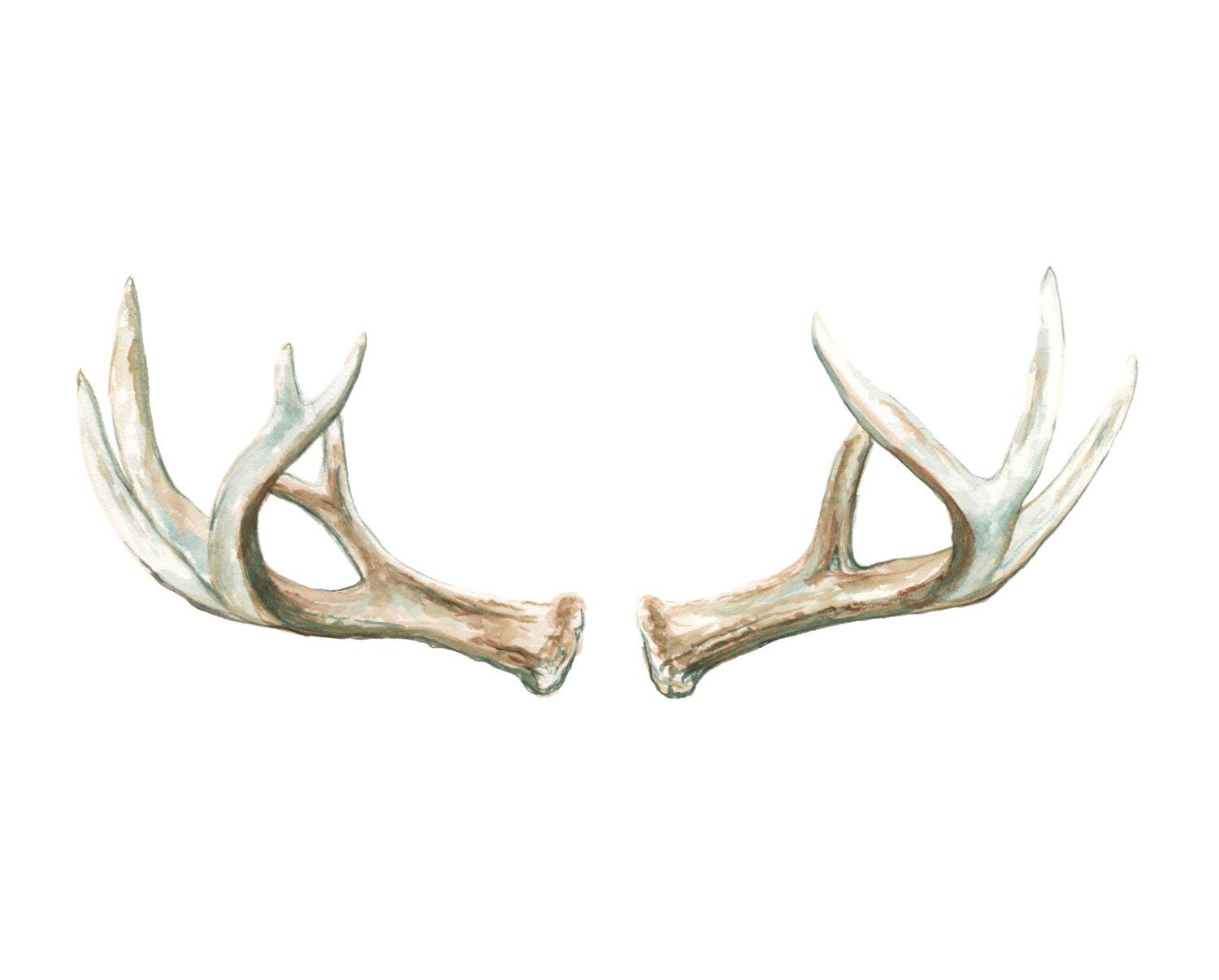 1500x1207 Antlers No 1 Art Print - Watercolor Antlers