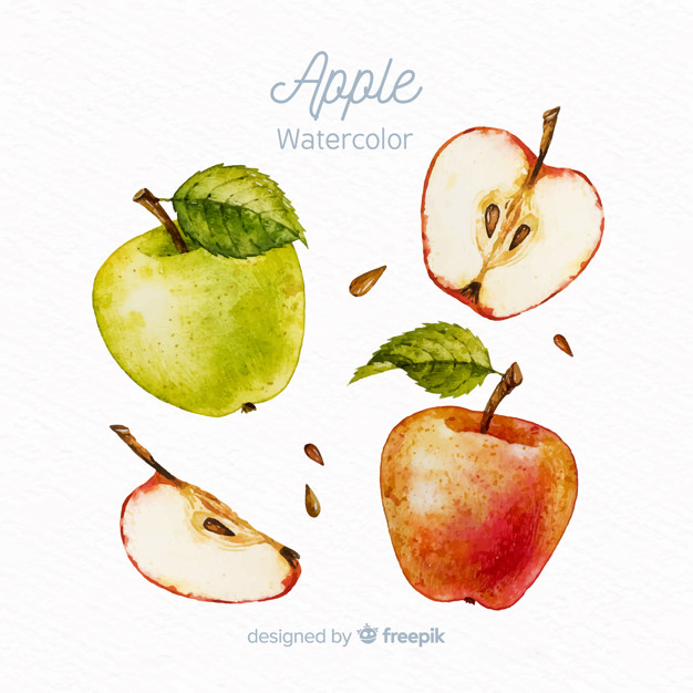626x626 Watercolor Apple Set Vector Free Download - Watercolor Apple