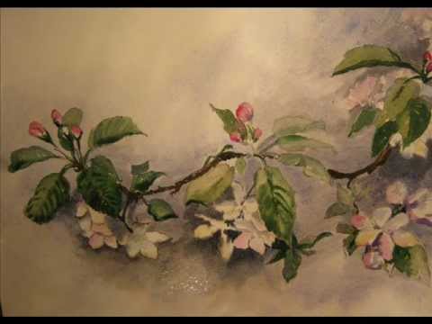 480x360 Blooming Apple Tree Watercolor By Olga Morgun.wmv - Watercolor Apple Tree