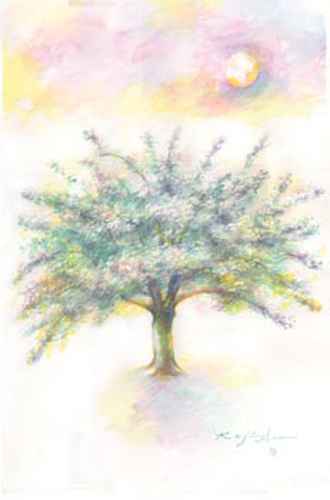 330x500 Kaji Aso Japanese Artistwatercolor Painting - Watercolor Apple Tree