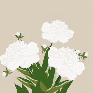 300x300 Stock Illustration Watercolor Apple Tree Branch With Sohadacouri - Watercolor Apple Tree