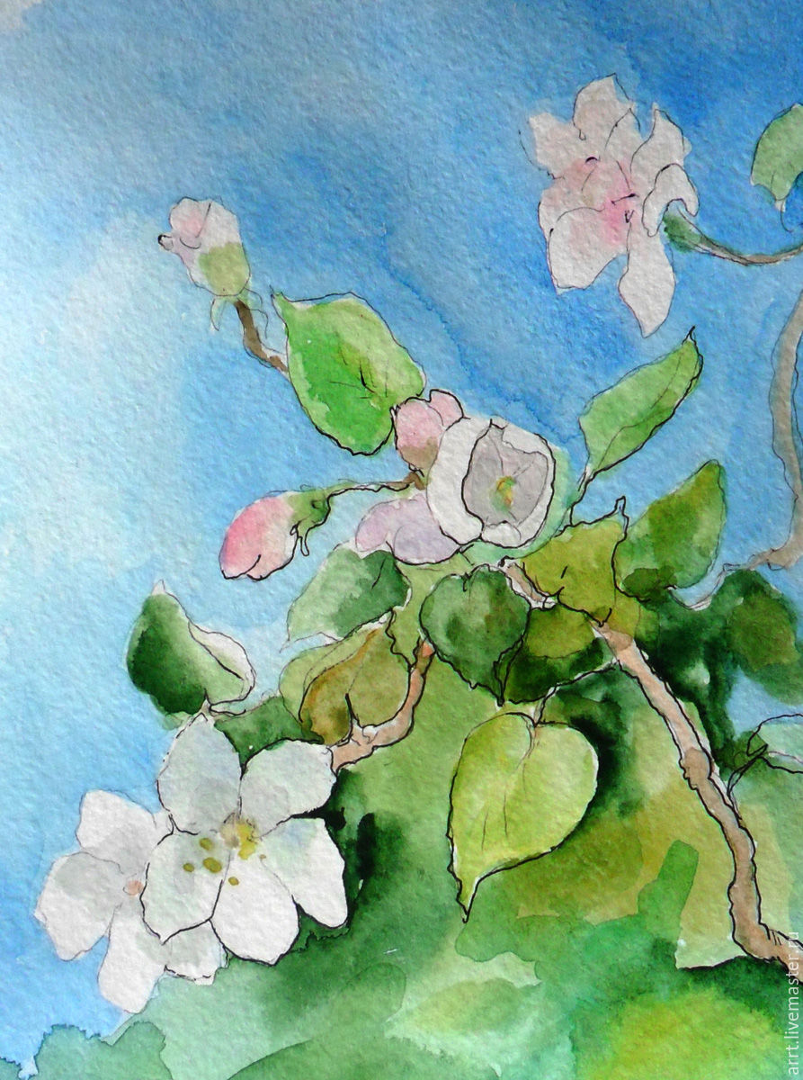 893x1200 The Picture Apple Tree In Blossom Watercolor 13kh18 Cm Shop - Watercolor Apple Tree