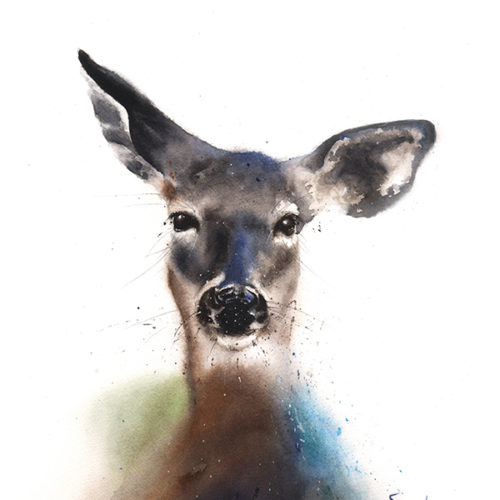 500x500 Bald Eagle Watercolor Print Watercolor Animal Paintings - Watercolor Art