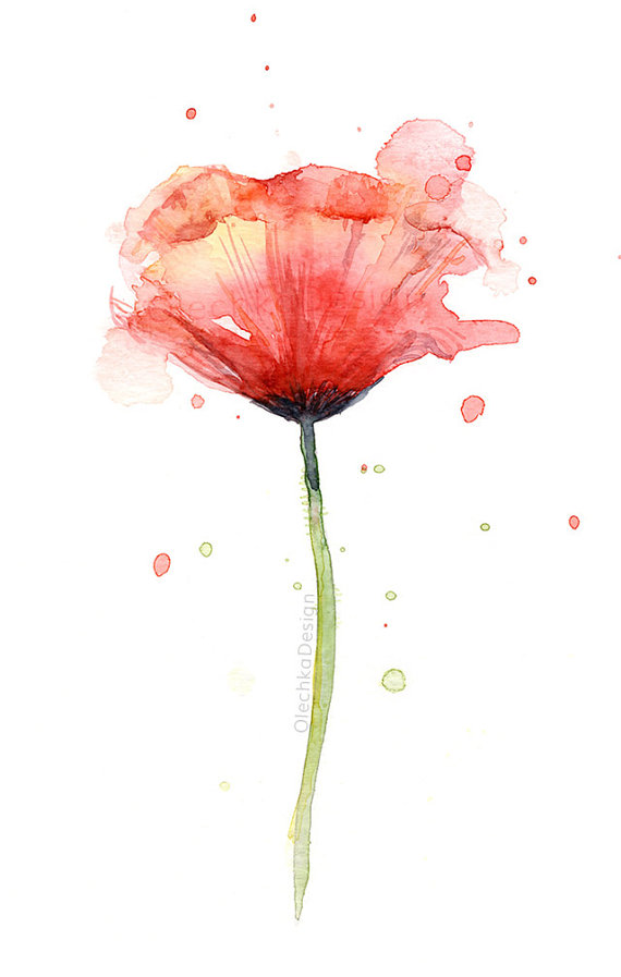 570x897 Red Poppy Watercolor, Flower Art Print, Poppies, Poppy Wall Art - Watercolor Art Flowers