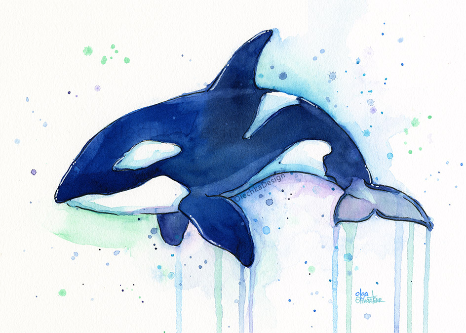 944x674 Killer Whale Watercolor Olechka Design - Watercolor Art Images