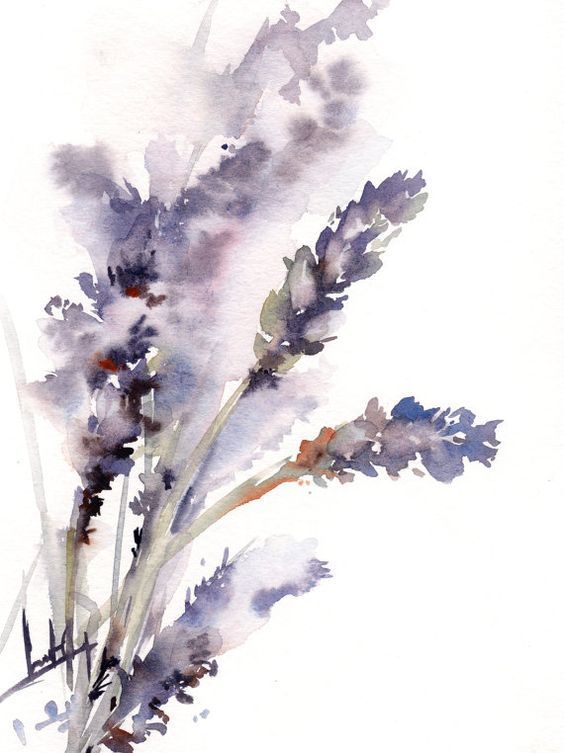 564x753 Lavender Watercolour - Watercolor Art Pinterest