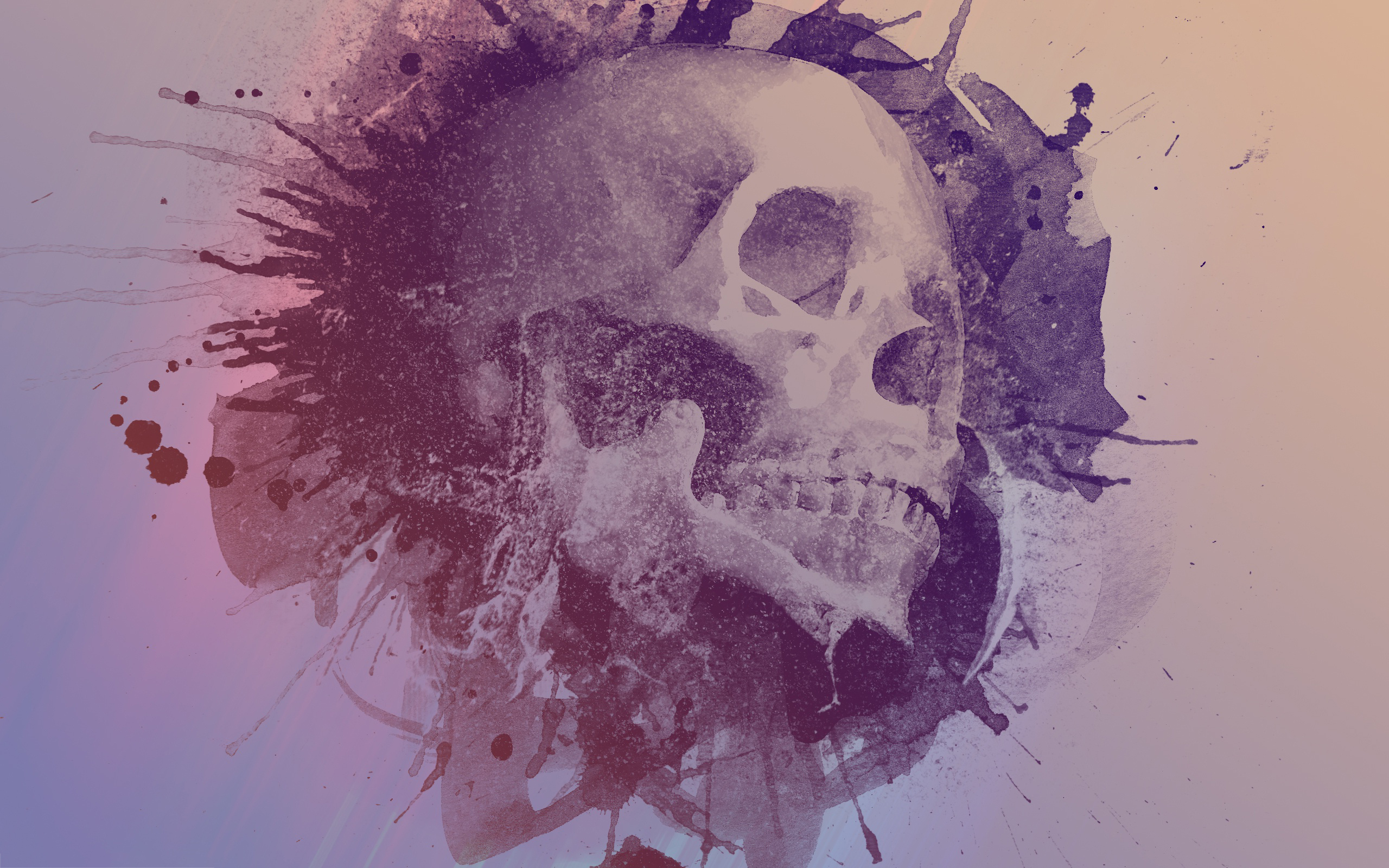 2560x1600 Skull Art Watercolor - Watercolor Art Wallpaper