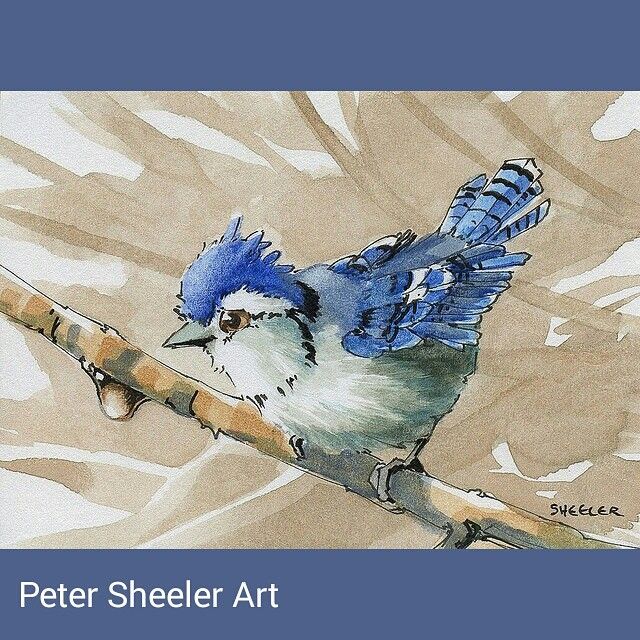 640x640 Instagram Photo By @sheelerart Via Art - Watercolor Artists On Instagram