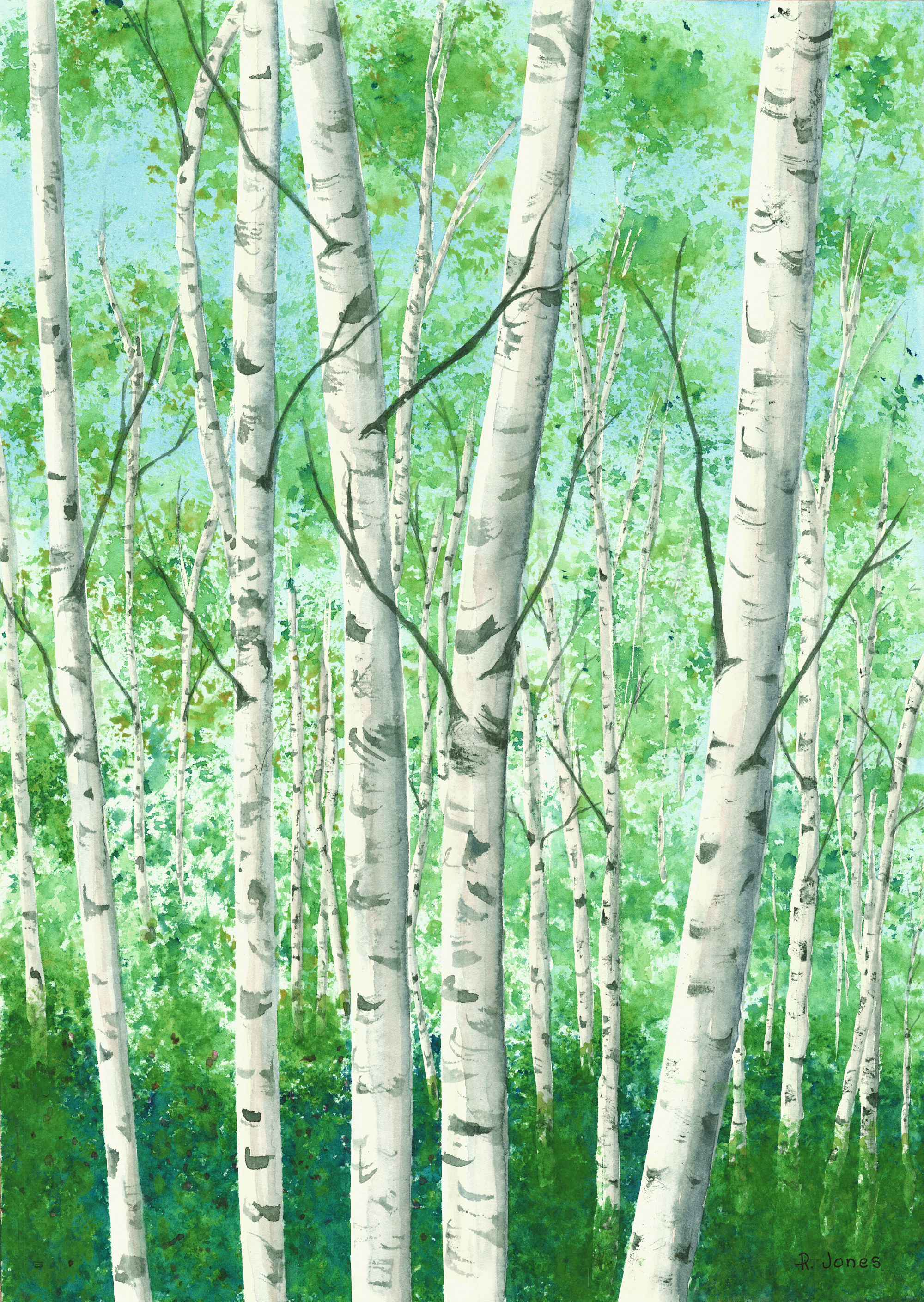2000x2817 Class Watercolor Painting Techniques Birch Trees Art - Watercolor Aspen Trees