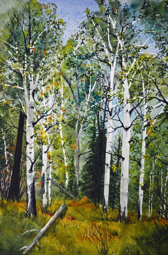 570x865 Landscape Art Watercolor Aspen Tree Painting Original Etsy - Watercolor Aspen Trees