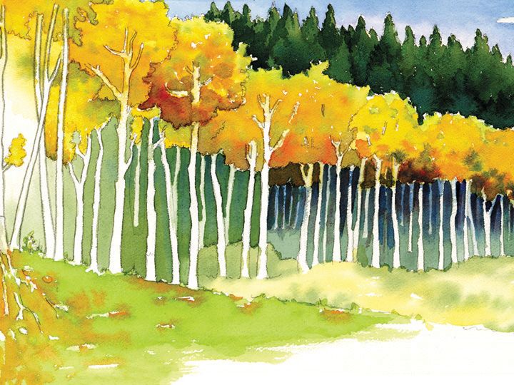 720x540 Pin By Missy Grenell On Water + Color In 2018 Aspen - Watercolor Aspen Trees