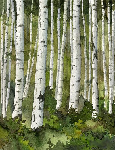 400x522 Watercolor Aspen Amazing Art Aspen, Watercolor And - Watercolor Aspen Trees
