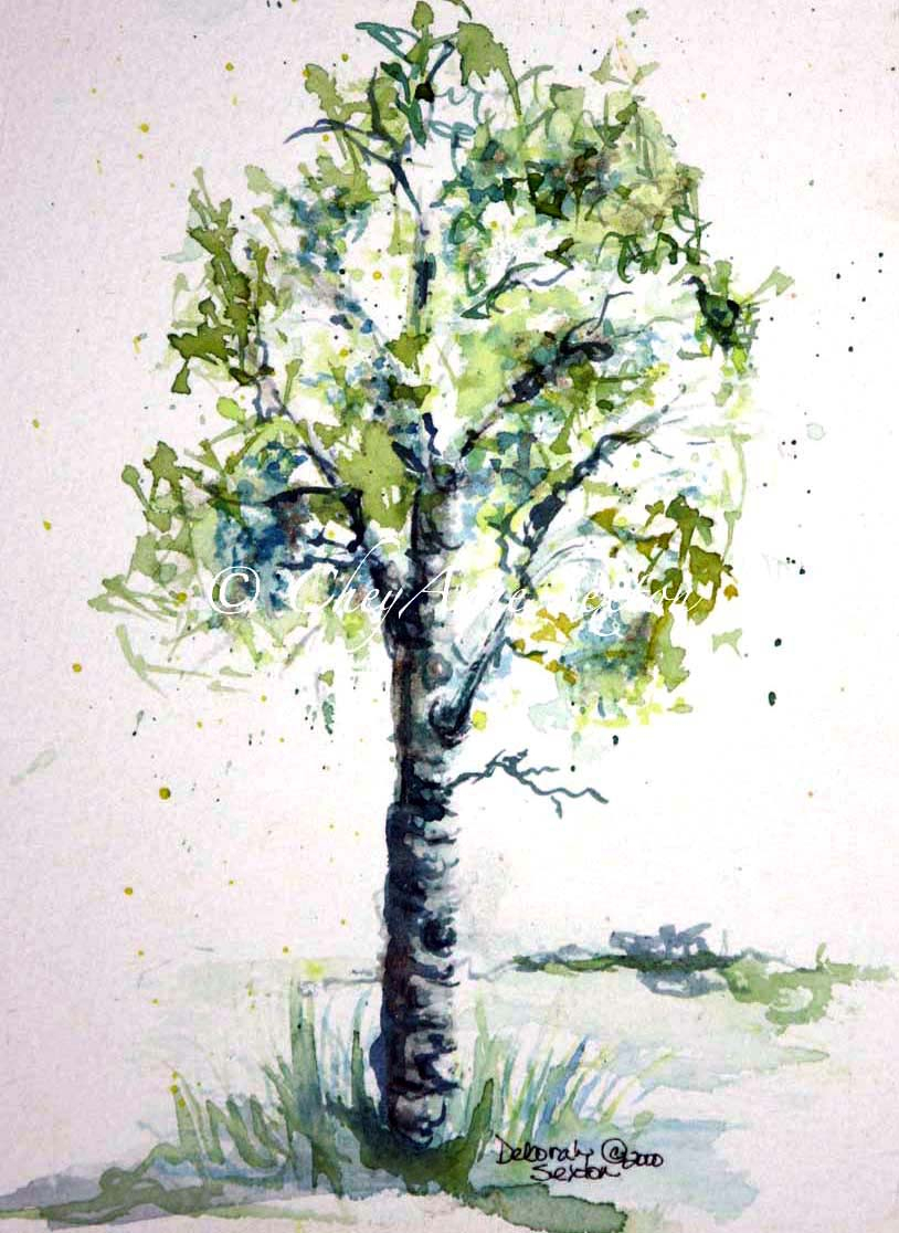 814x1116 Watercolor Painting Of Trees Aspen Trees Tattoos - Watercolor Aspen Trees