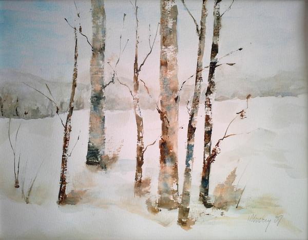 600x469 Aspen Trees In Winter - Watercolor Aspen Trees
