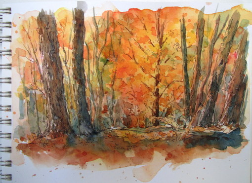 510x371 Everyday Artist Step By Step Watercolor Painting Autumn Glow - Watercolor Autumn Scenes