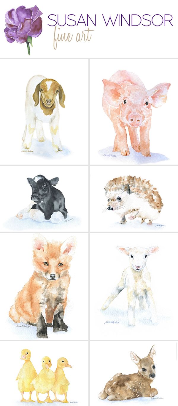 600x1369 Baby Animal Water Color Prints. Perfect For A Nursery. Lifestyle - Watercolor Baby Animals