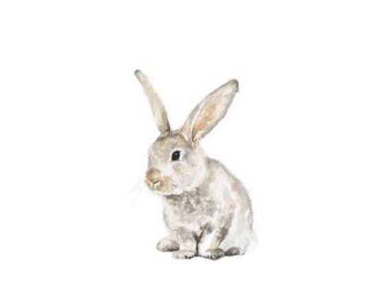 570x445 Bunny No 1 Art Print - Watercolor Baby Animals