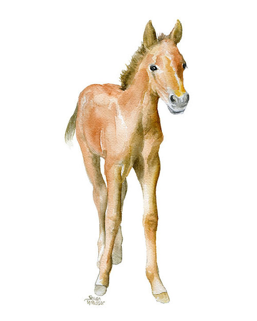 500x625 Horse Watercolor Painting Glicee Reproduction 8 X 10 8.5x11 - Watercolor Baby Animals