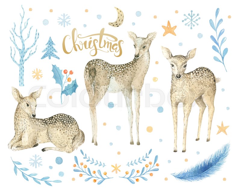 800x639 Merry Christmas Watercolor Lettering With Watercolour Fun Baby - Watercolor Baby Deer