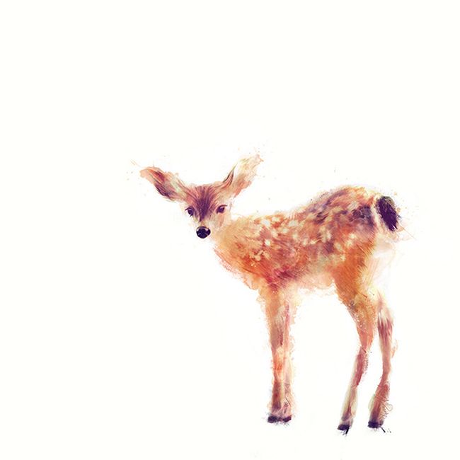 650x650 Amy Hamilton, Watercolors, Animal Watercolors, Baby Deer, Fawn - Watercolor Baby Deer