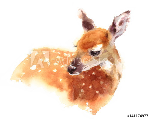 500x397 Watercolor Baby Deer Hand Painted Fawn Illustration Isolated On - Watercolor Baby Deer