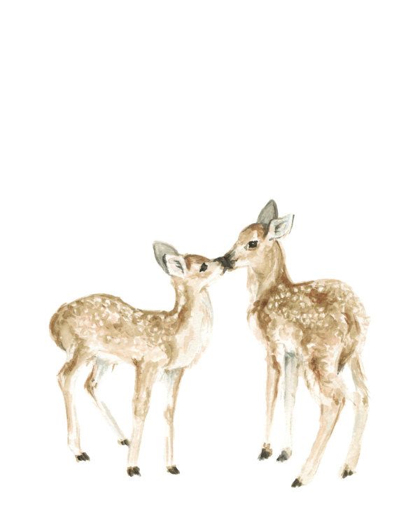 570x738 Watercolor Painting Deer Fawn Lying Down Fine Art Giclee Print - Watercolor Baby Deer