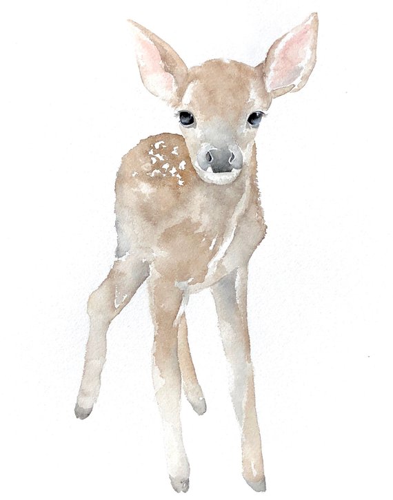 570x726 Watercolor Deer Baby Deer Nursery Art Baby Animals Etsy - Watercolor Baby Deer