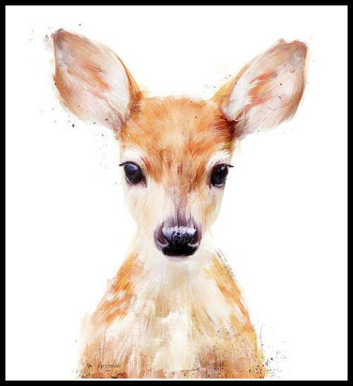 500x546 Kangaroo Watercolor Tumblr - Watercolor Baby Deer
