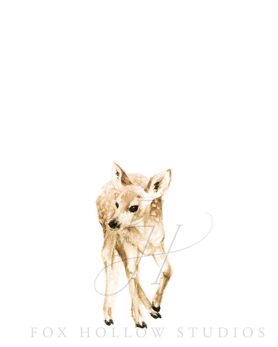 570x713 Baby Deer Bodysuit Animal Bodysuit Deer Watercolor Etsy - Watercolor Baby Deer