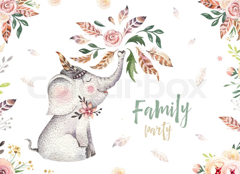 800x582 Cute Baby Elephant Nursery Animal Isolated Illustration For - Watercolor Baby Elephant