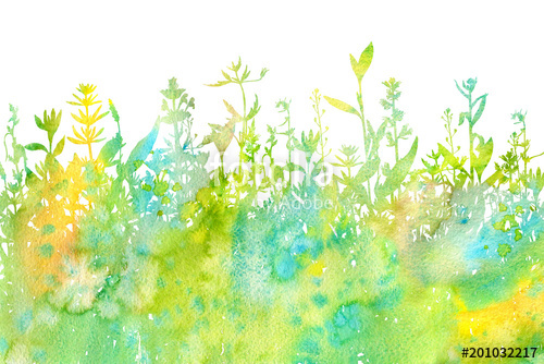 500x334 Watercolor Background With Drawing Herbs And Flowers Stock Photo - Watercolor Background