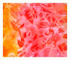 240x207 Thats A Wrap Mixed Media Background Painting Techniques - Watercolor Background Techniques