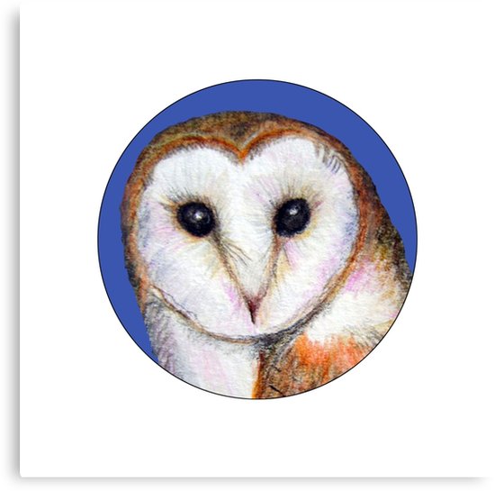 550x545 Barn Owl Bird Watercolor Painting Wildlife Artwork Canvas Prints - Watercolor Barn Owl