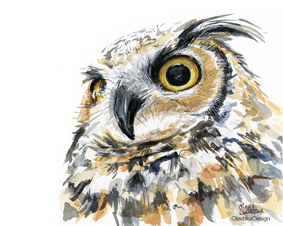977x782 Barn Owl Watercolor Olechka Design - Watercolor Barn Owl
