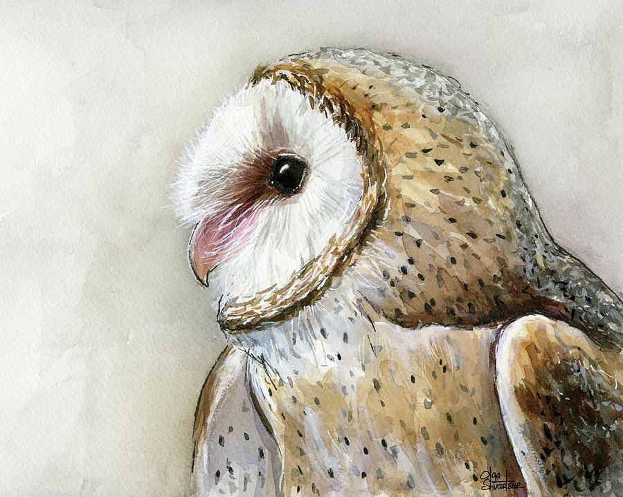 900x719 Barn Owl Watercolor Painting By Olga Shvartsur - Watercolor Barn Owl