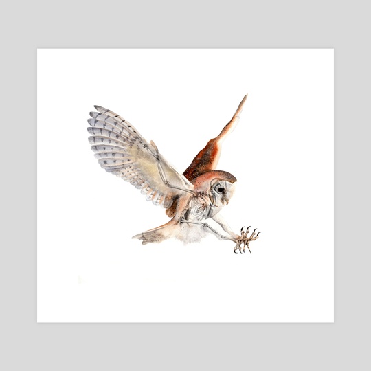 540x540 Barn Owl Watercolor Skeleton, An Art Print By Jp Lara - Watercolor Barn Owl