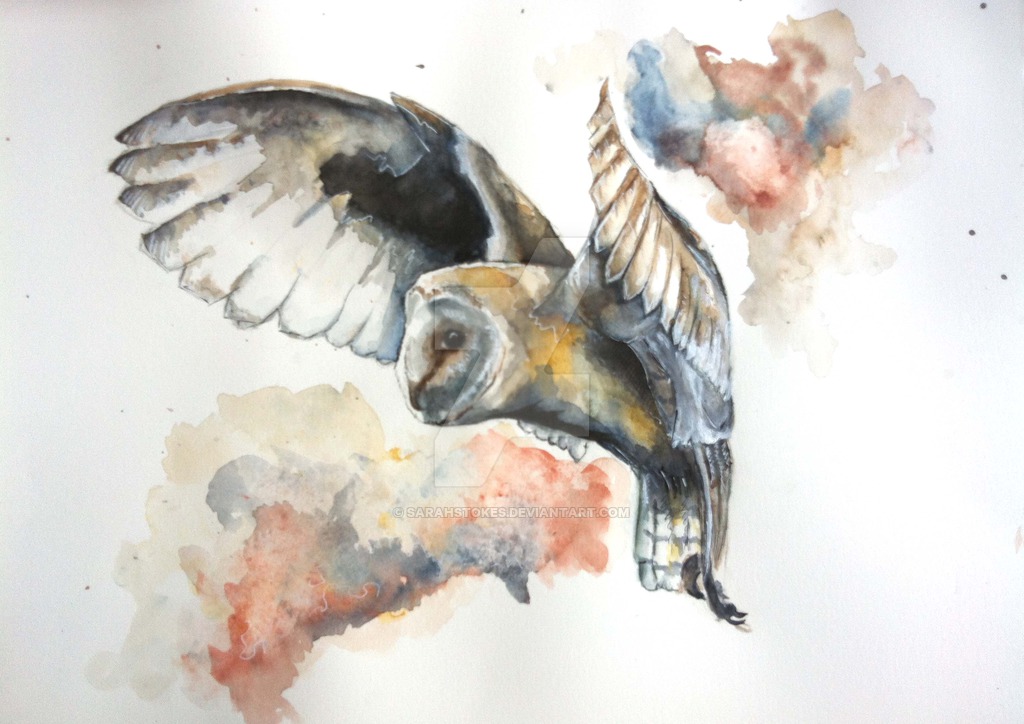 1024x724 Barn Owl In Flight By Sarahstokes - Watercolor Barn Owl