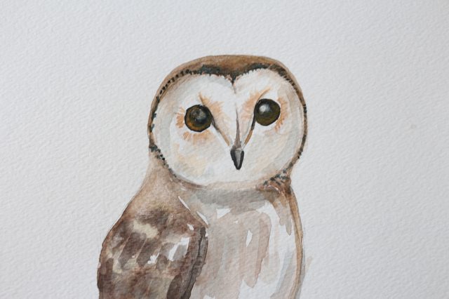 640x426 Diy Owl Watercolor Painting Ehow - Watercolor Barn Owl