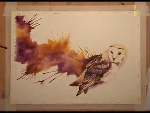 480x360 Speed Painting Watercolour - Watercolor Barn Owl