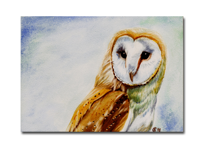 690x500 Barn Owl 8 Hibou Chouette Bird Watercolor By Sandrinesgallery - Watercolor Barn Owl