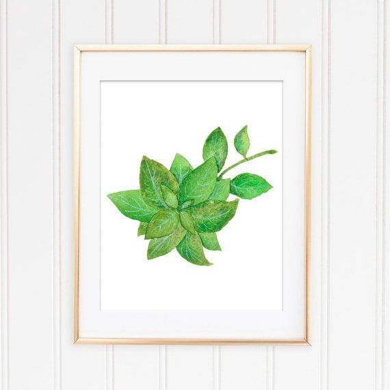 570x570 Basil Printable Basil Print Kitchen Printable Watercolor Etsy - Watercolor Basil