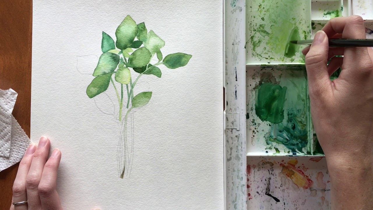 1280x720 Watercolor Basil Tutorial - Watercolor Basil