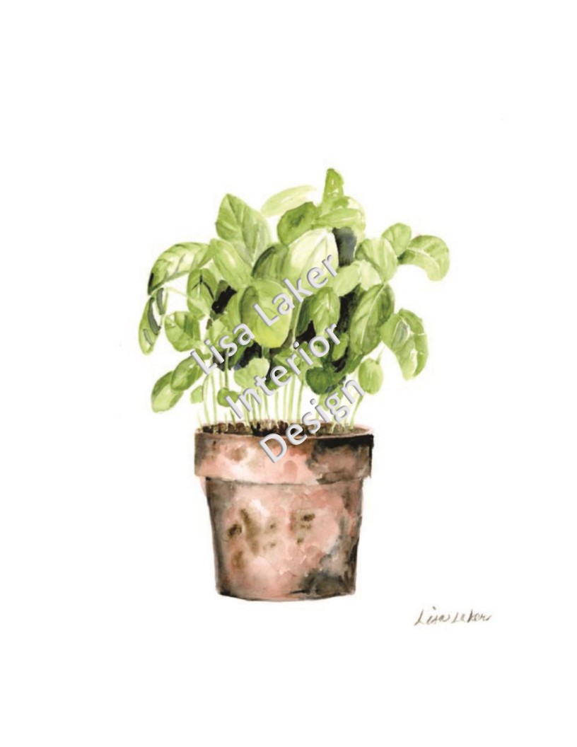 816x1056 Watercolor Potted Basil Print - Watercolor Basil