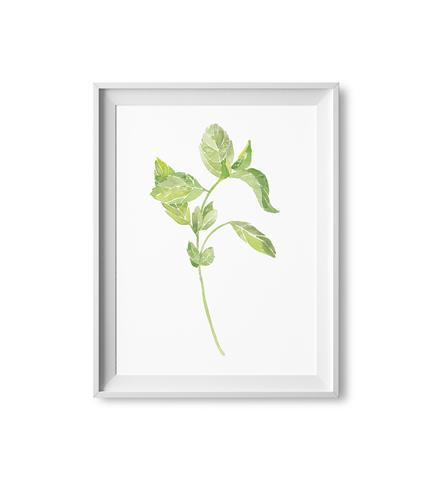 433x479 Basil Herb Watercolor Print Lilac Paperie - Watercolor Basil