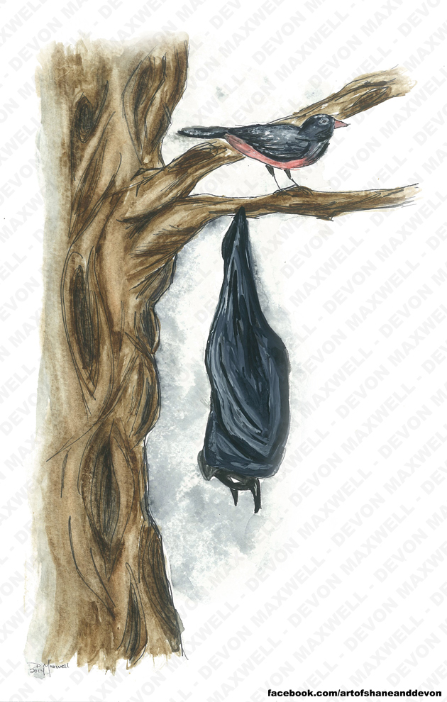 630x990 Batman And Robin Watercolor The Art Of Shane And Devon Online - Watercolor Batman