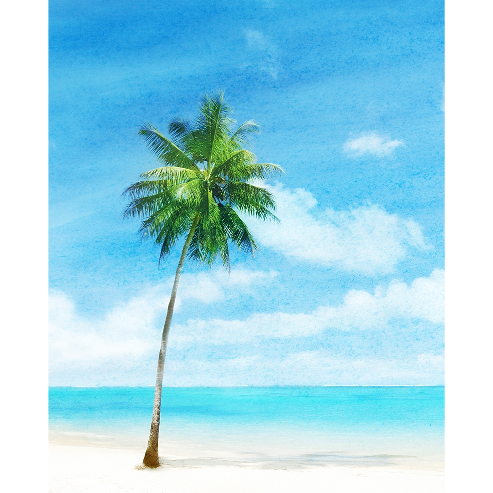 1000x1000 Watercolor Beach Printed Backdrop Backdrop Express - Watercolor Beach Pictures