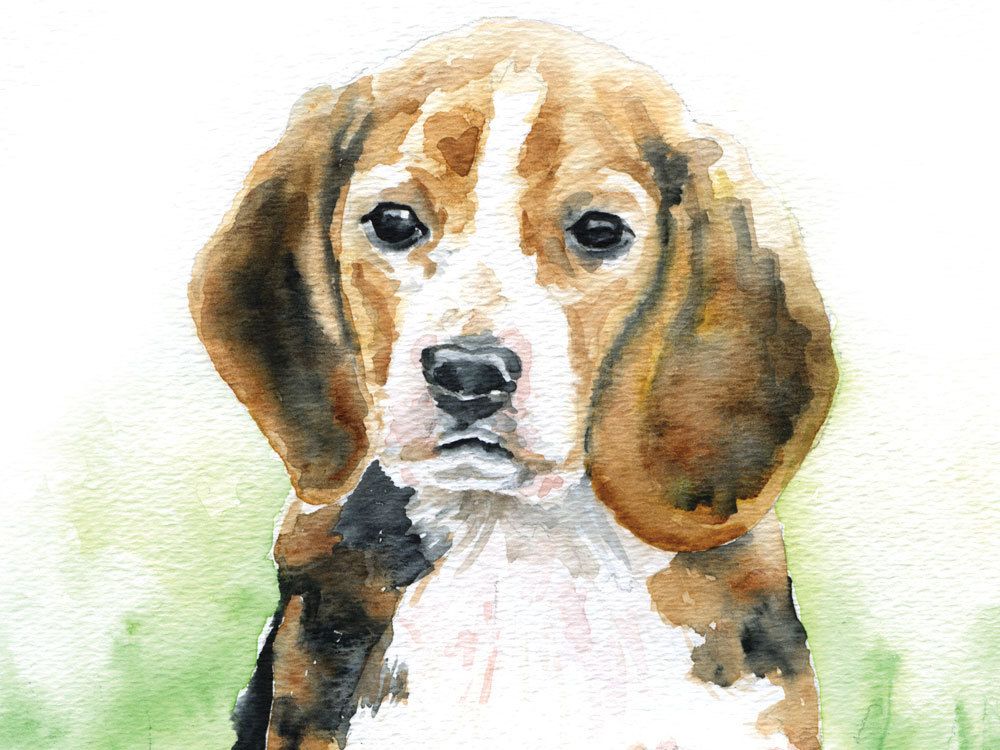 1000x750 Beagle Watercolor Note Card Set In 2018 Susan Windsor - Watercolor Beagle