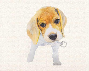 340x270 Beagle Watercolor Etsy - Watercolor Beagle